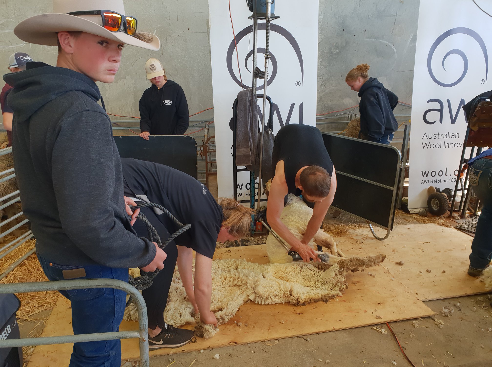 2019 Dubbo Sheep Show