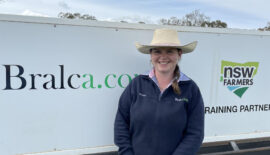 February with Bralca